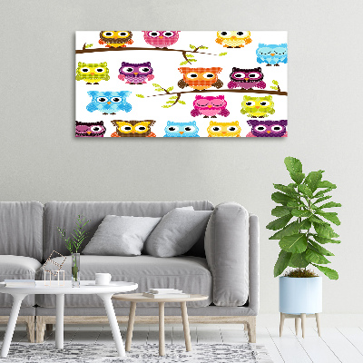 Foto op canvas Kleurrijke uilen