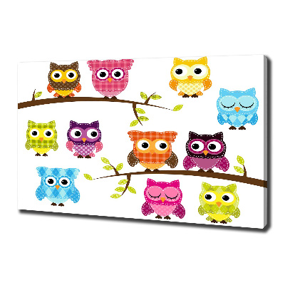 Foto op canvas Kleurrijke uilen