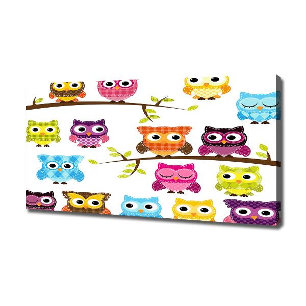Foto op canvas Kleurrijke uilen