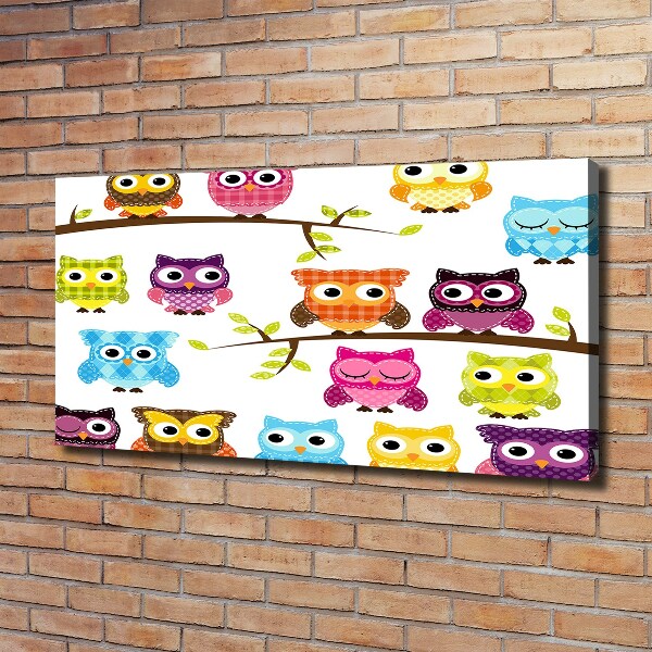 Foto op canvas Kleurrijke uilen