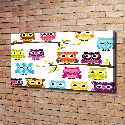 Foto op canvas Kleurrijke uilen