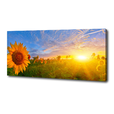Canvas schilderij Een veld met zonnebloemen