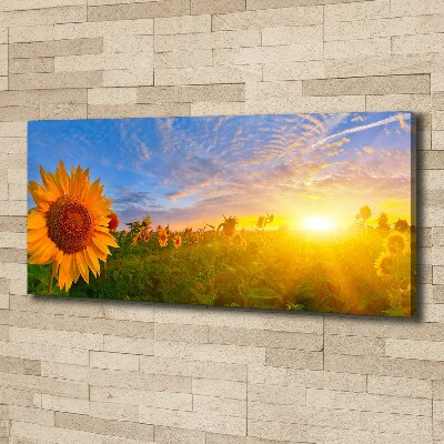 Canvas schilderij Een veld met zonnebloemen
