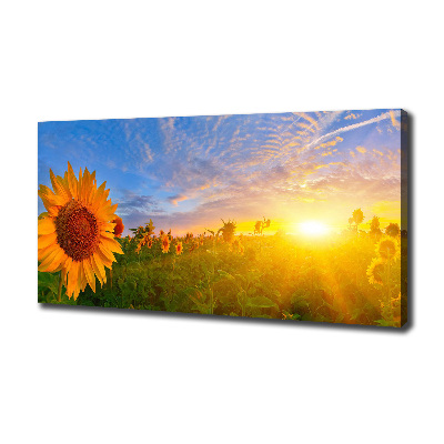 Canvas schilderij Een veld met zonnebloemen
