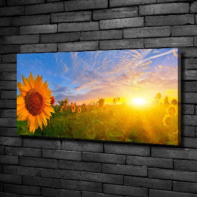 Canvas schilderij Een veld met zonnebloemen