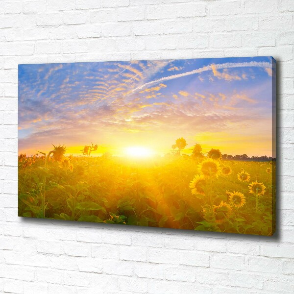 Canvas schilderij Een veld met zonnebloemen
