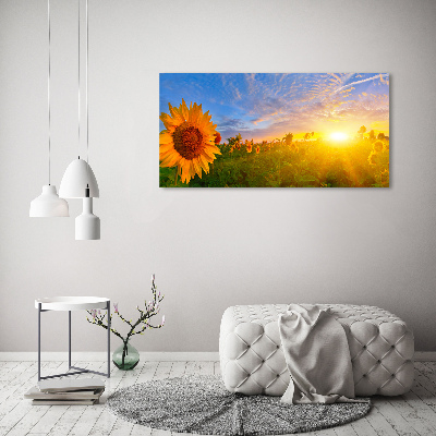 Canvas schilderij Een veld met zonnebloemen