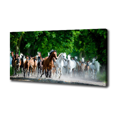 Canvas schilderij Paarden in galop