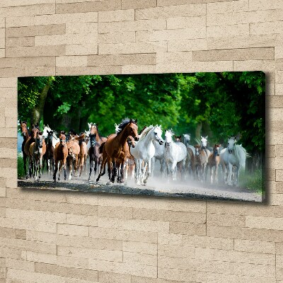 Canvas schilderij Paarden in galop