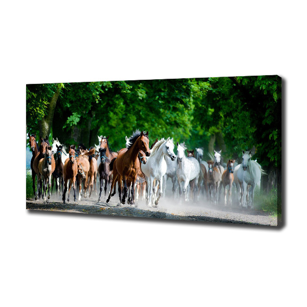 Canvas schilderij Paarden in galop
