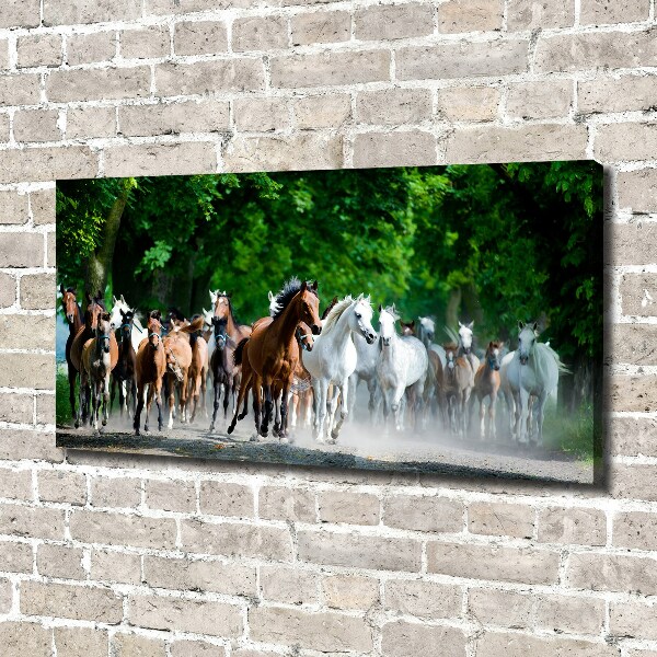Canvas schilderij Paarden in galop