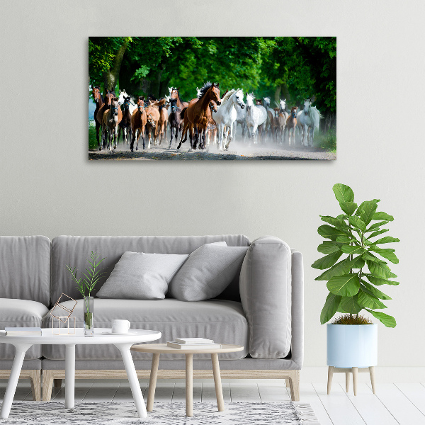 Canvas schilderij Paarden in galop