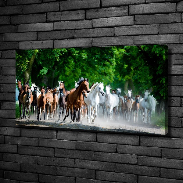 Canvas schilderij Paarden in galop