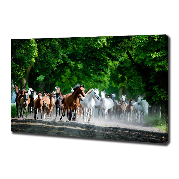 Canvas schilderij Paarden in galop