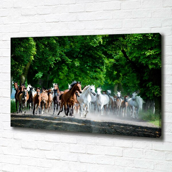 Canvas schilderij Paarden in galop