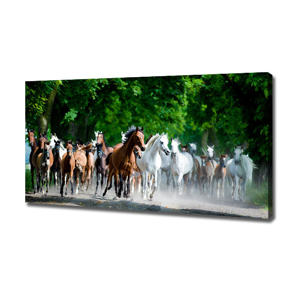 Canvas schilderij Paarden in galop