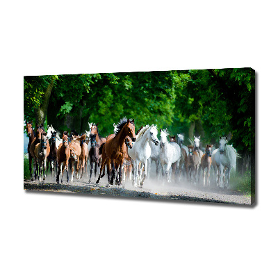 Canvas schilderij Paarden in galop