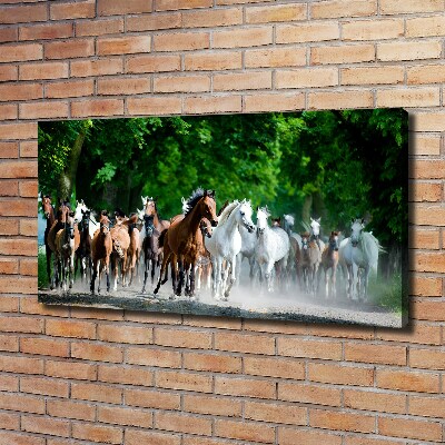 Canvas schilderij Paarden in galop