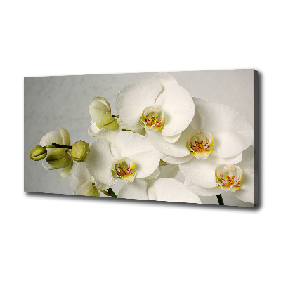 Schilderij op canvas Witte orchidee