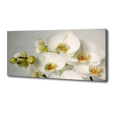 Schilderij op canvas Witte orchidee