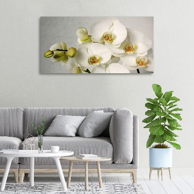 Schilderij op canvas Witte orchidee