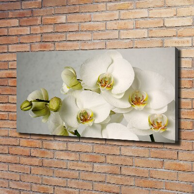 Schilderij op canvas Witte orchidee