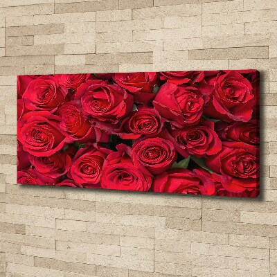 Foto canvas Rode rozen
