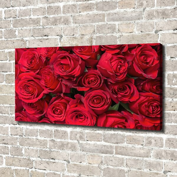 Foto canvas Rode rozen