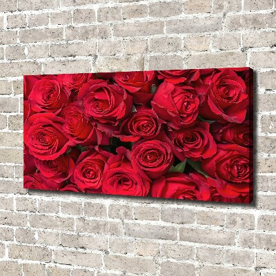 Foto canvas Rode rozen
