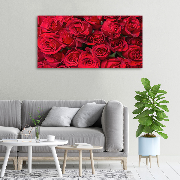 Foto canvas Rode rozen