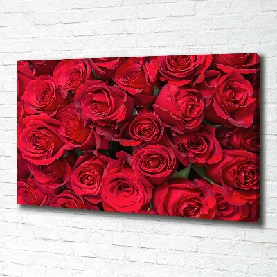 Foto canvas Rode rozen
