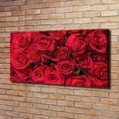 Foto canvas Rode rozen
