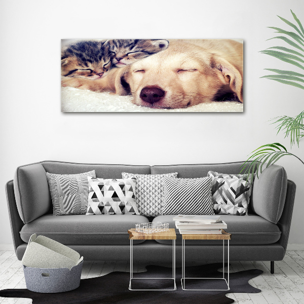 Schilderij op canvas Puppy's en katten