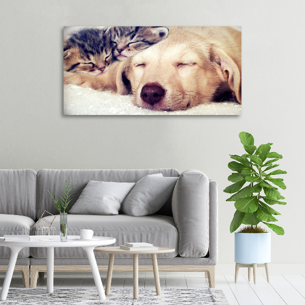 Schilderij op canvas Puppy's en katten