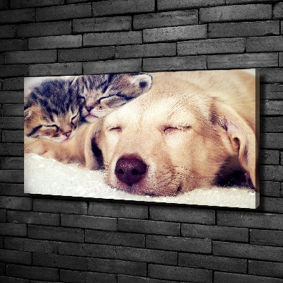 Schilderij op canvas Puppy's en katten