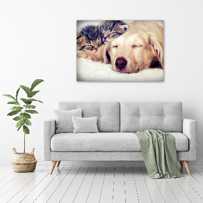 Schilderij op canvas Puppy's en katten
