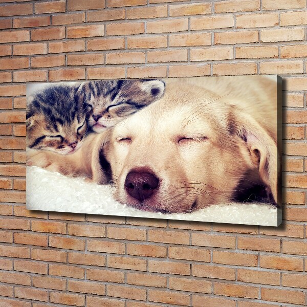 Schilderij op canvas Puppy's en katten