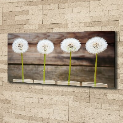 Foto op canvas Paardenbloemen
