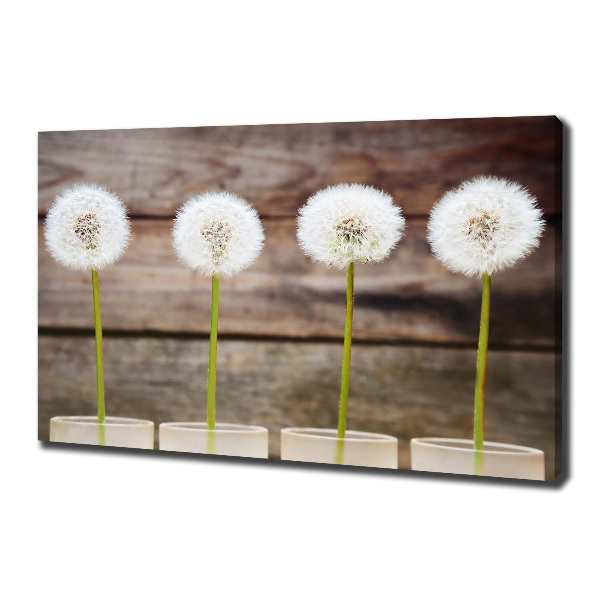 Foto op canvas Paardenbloemen