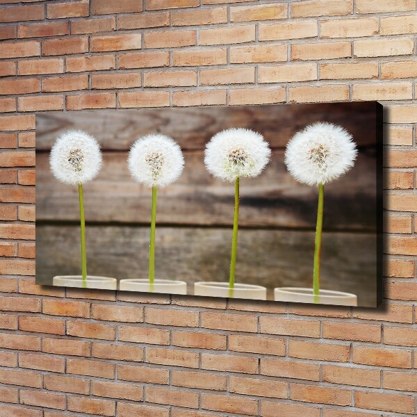 Foto op canvas Paardenbloemen
