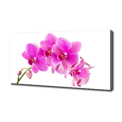 Canvas foto Roze orchidee