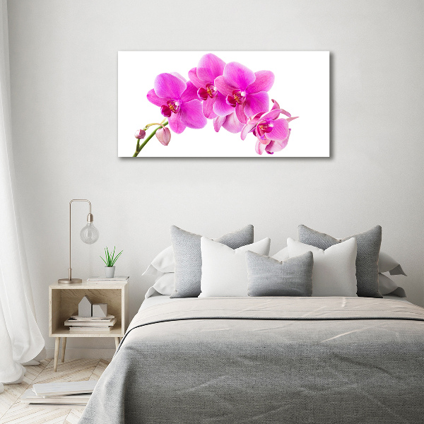 Canvas foto Roze orchidee