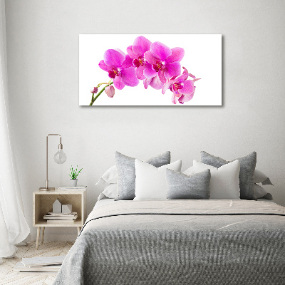 Canvas foto Roze orchidee