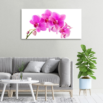 Canvas foto Roze orchidee