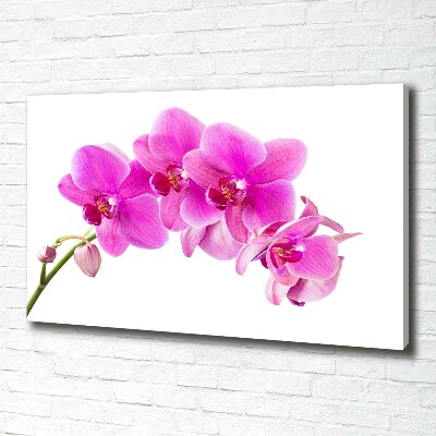Canvas foto Roze orchidee