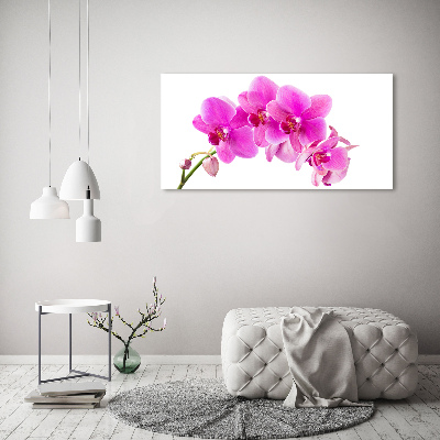 Canvas foto Roze orchidee