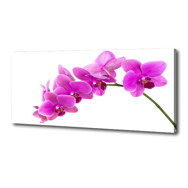 Schilderij op canvas Roze orchidee