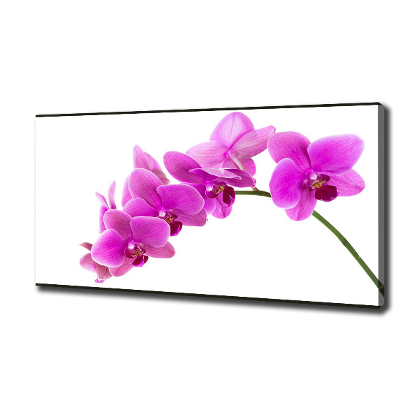 Schilderij op canvas Roze orchidee