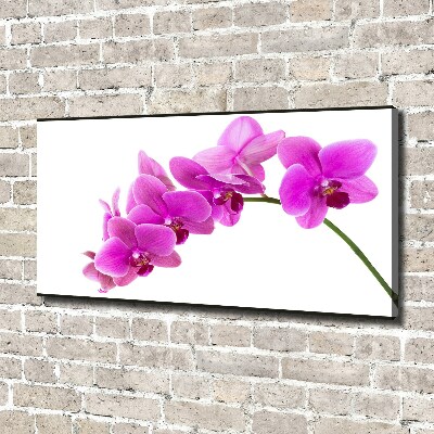 Schilderij op canvas Roze orchidee