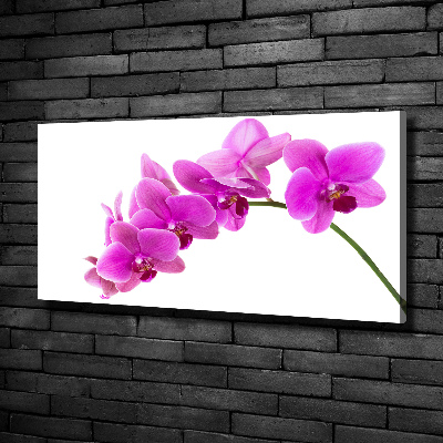 Schilderij op canvas Roze orchidee
